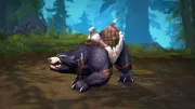 Teaser Bild von WoW: Holt euch den großen Kampfbären und ein weiteres Jahr monatliche Prime Gaming Belohnungen
